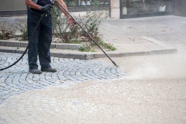 Best Gutter Cleaning  in Cecilia, LA